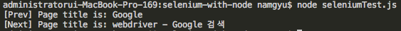 selenium-with-node console 1